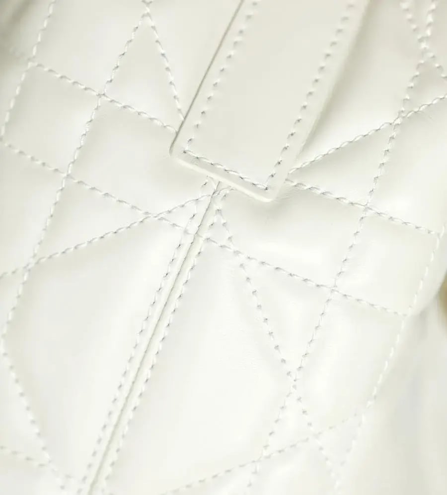 Dior Toujours bag size 18.5cm
