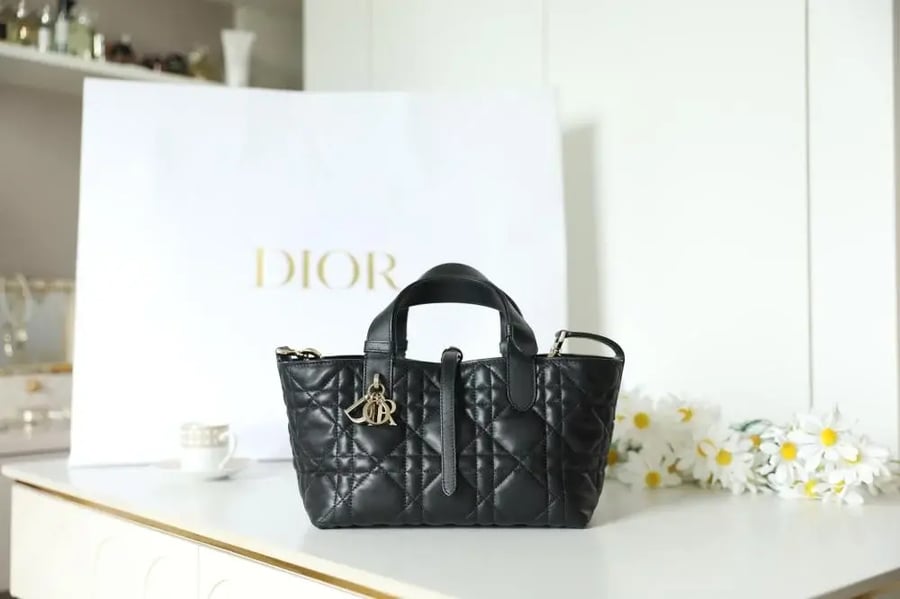 شنطة ديور Toujours مقاس 23cm