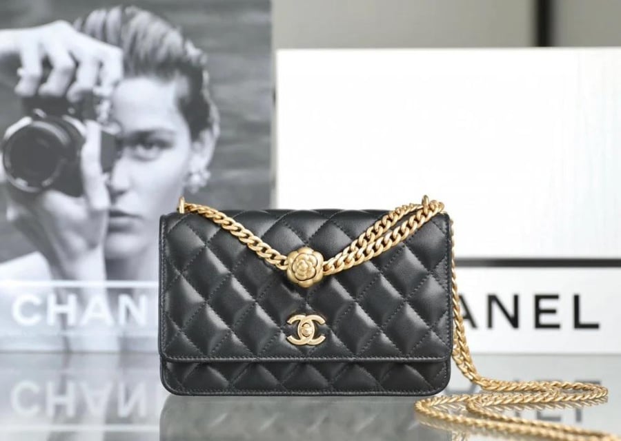 Chanel bag 23s size 19.5cm