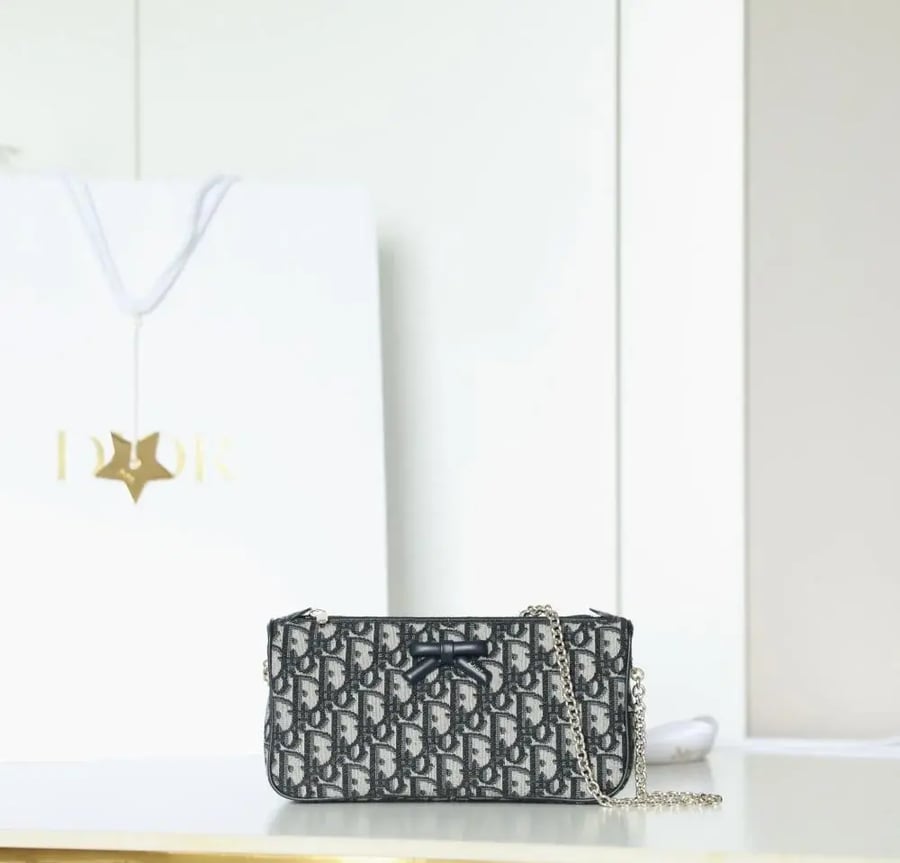 شنطة ديور Promenade مقاس 22cm