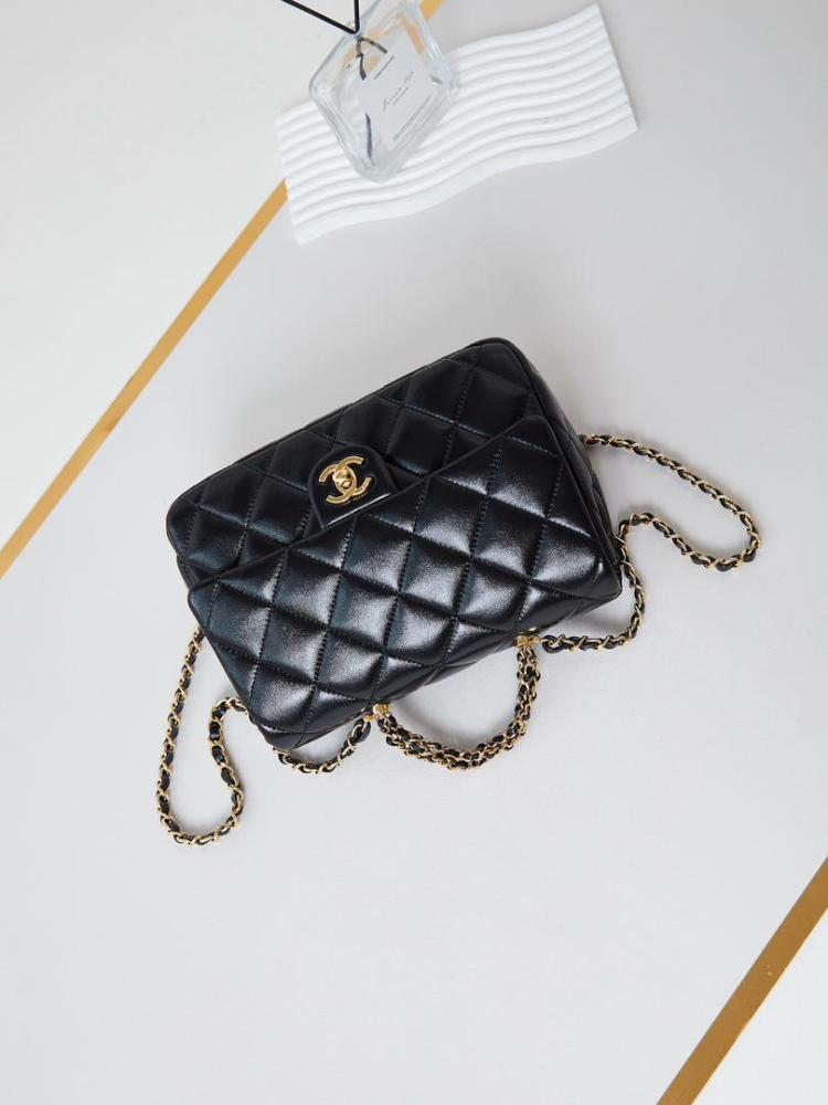Chanel bag size 25