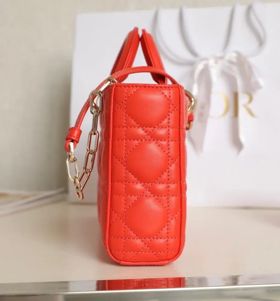 Dior Di Joue bag size 26cm