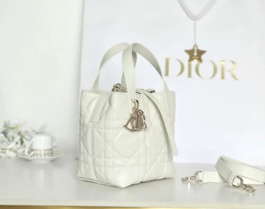 Dior Toujours bag size 18.5cm