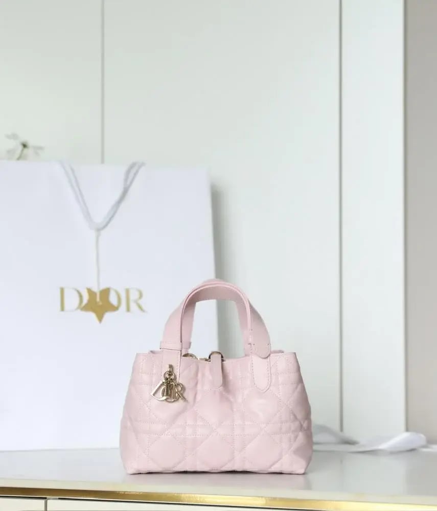 شنطة ديور Toujours مقاس 23cm