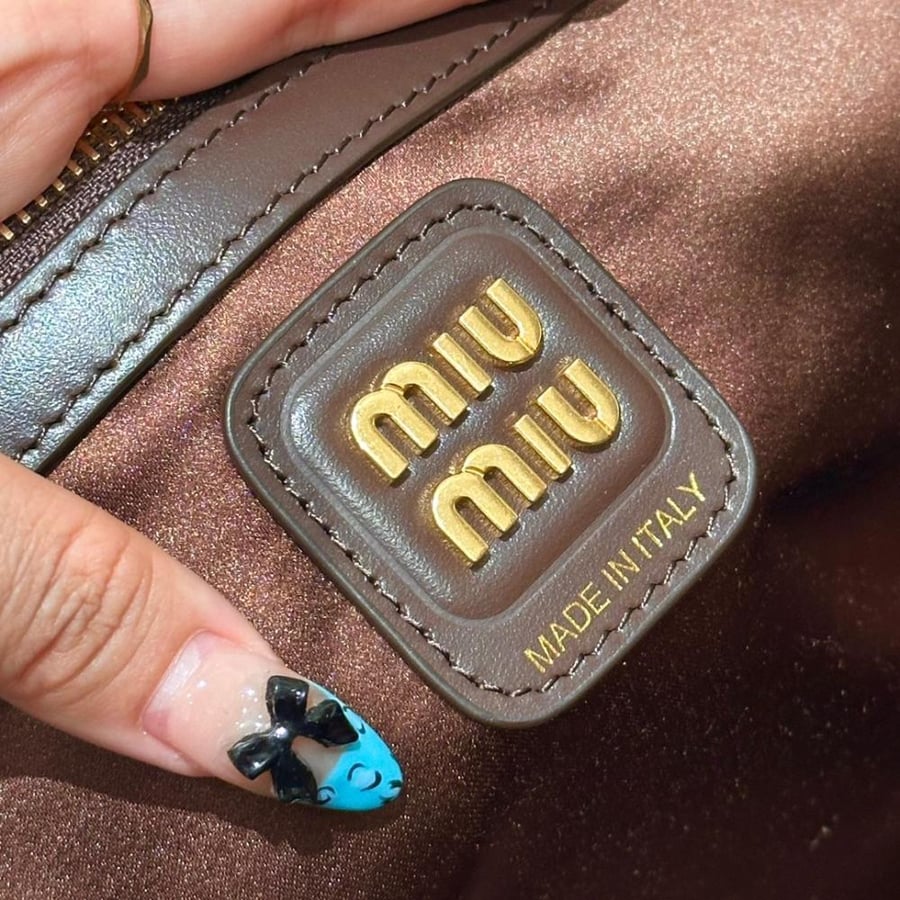 Miu Miu bag
