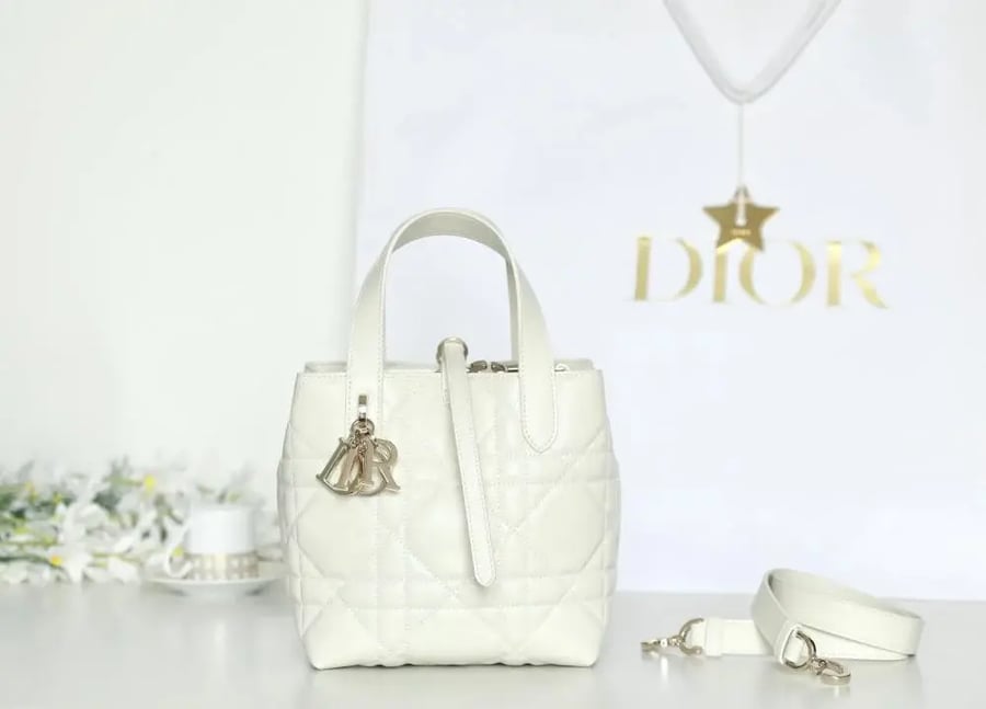 Dior Toujours bag size 18.5cm
