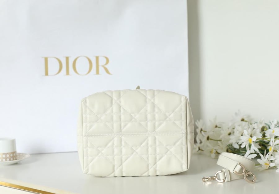 Dior Toujours bag size 23cm