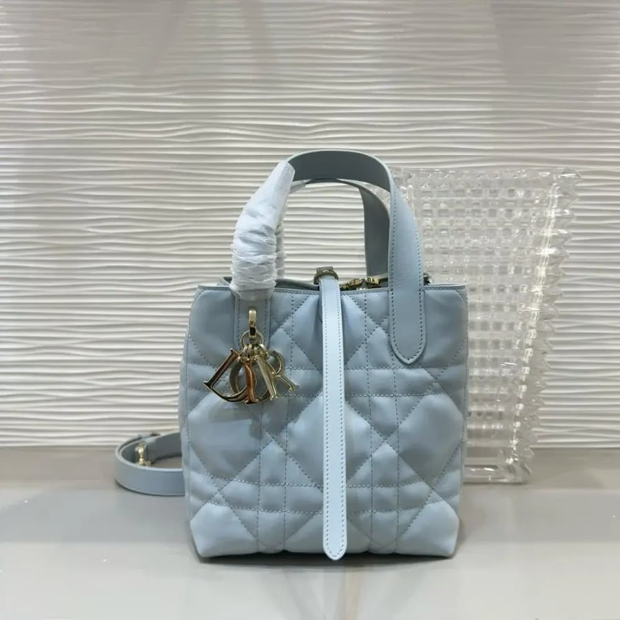 شنطة ديور TOUJOURS مقاس 18.5cm
