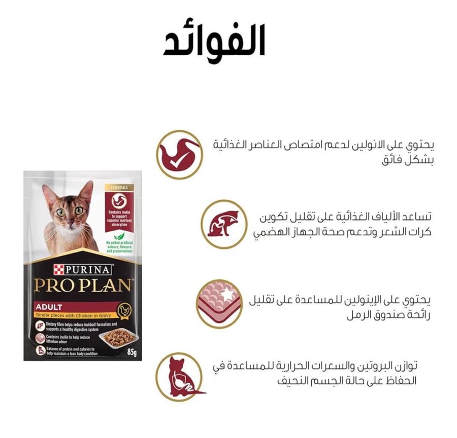طعام رطب للقطط البالغة بقطع الدجاج الطرية في المرق