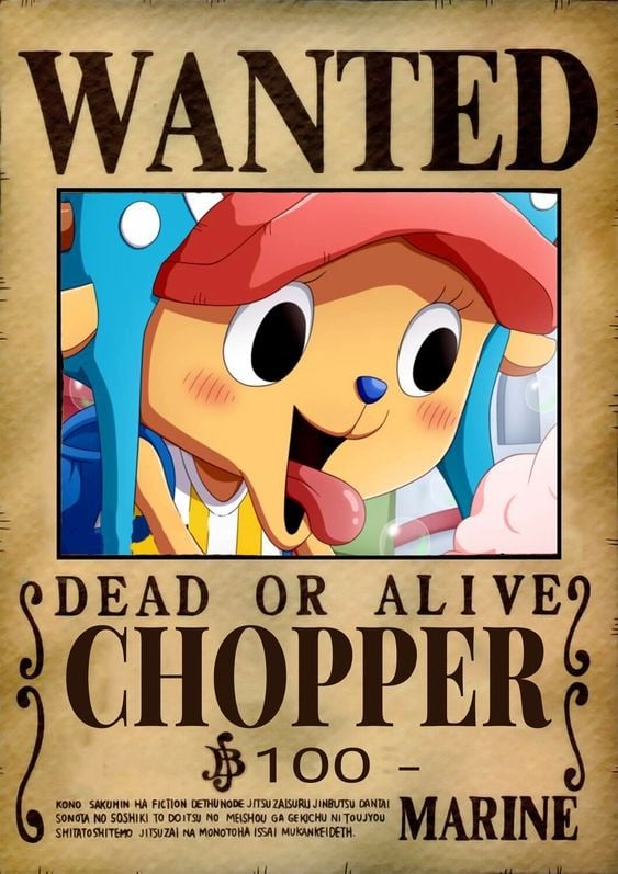 ون بيس one piece