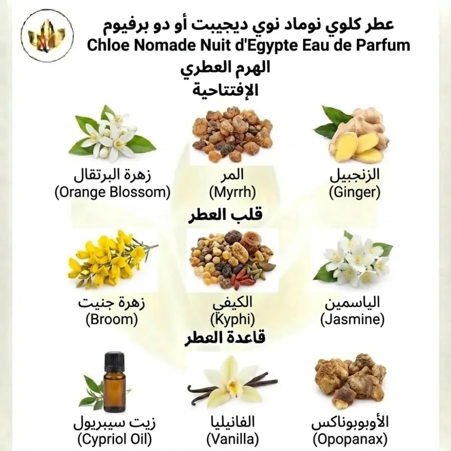 كلوي نوماد نوي ديجيبت أو دو برفيوم