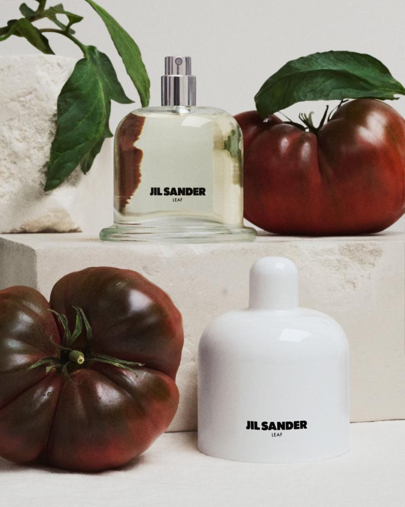 عطر جيل ساندر سموك -100مل