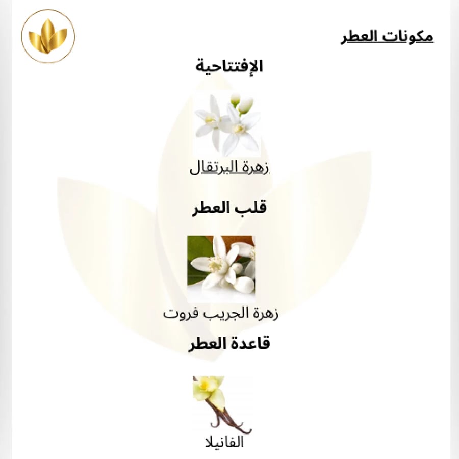 عطر باكو رابان اولمبيا او دو بارفيوم انتنس 80مل