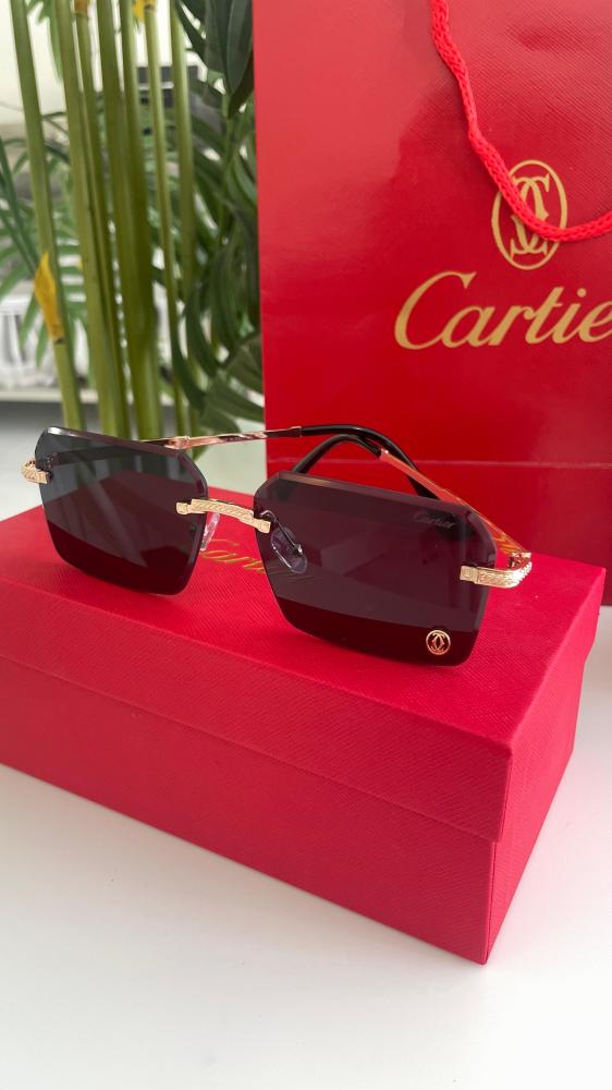 نظاره كارتير شامل الملحقات