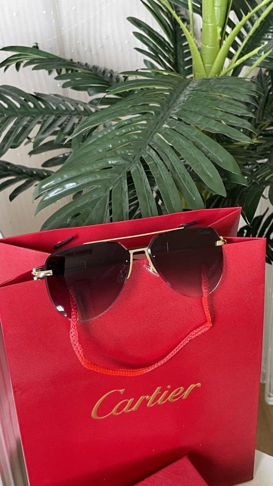 Cartier black or brown glasses with accessories