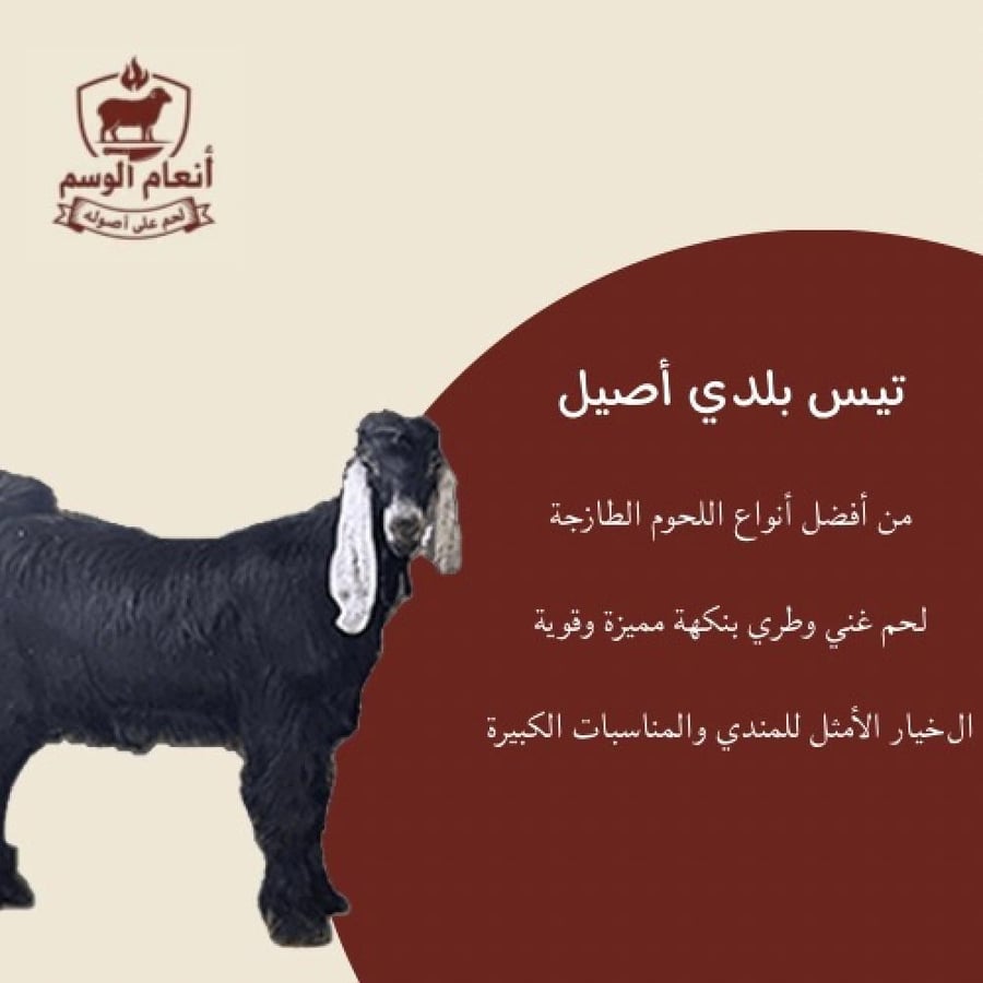 نصف تيس