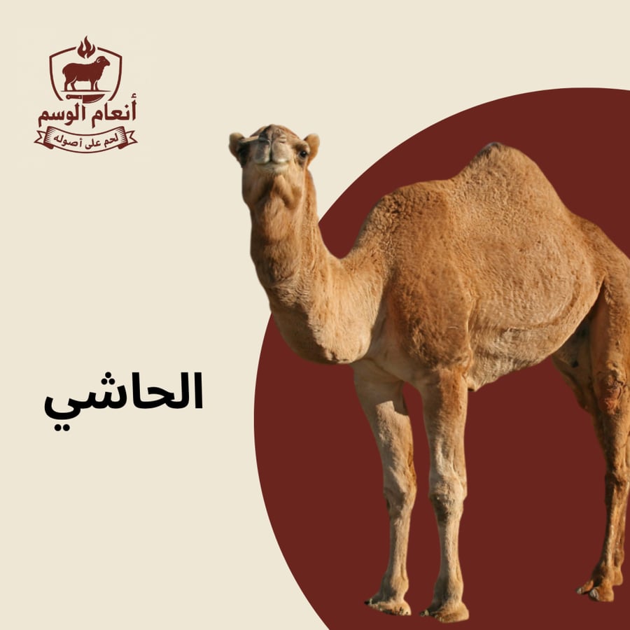 ربع حاشي