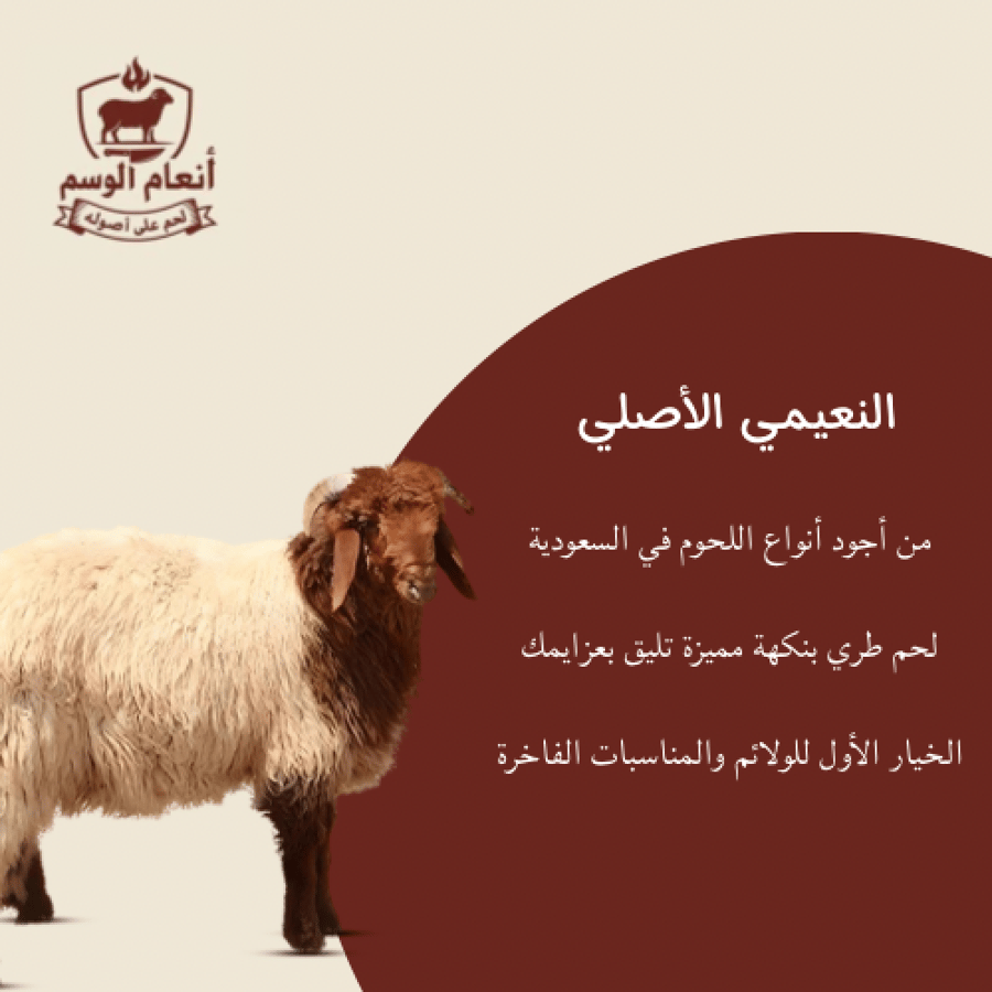 خروف نعيمي وسط عمر 6-8 شهر