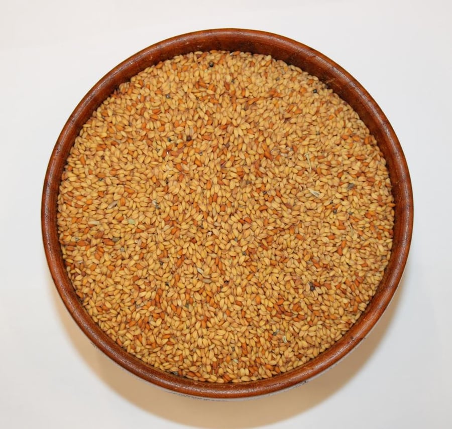 رشاد بلدي حب