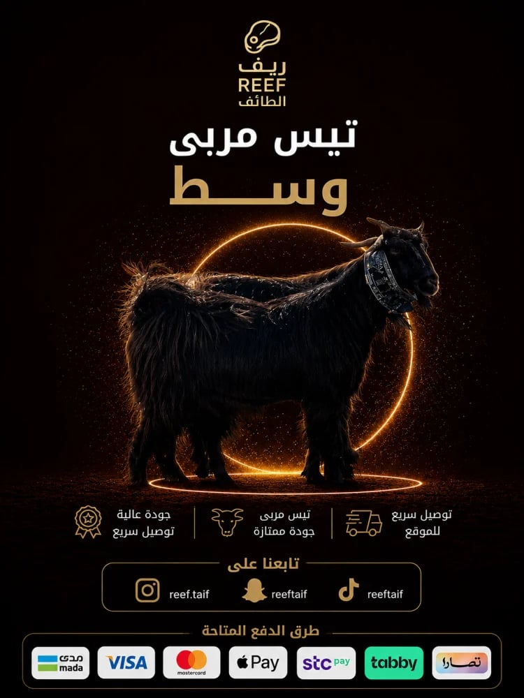 تيس سوداني - مربى