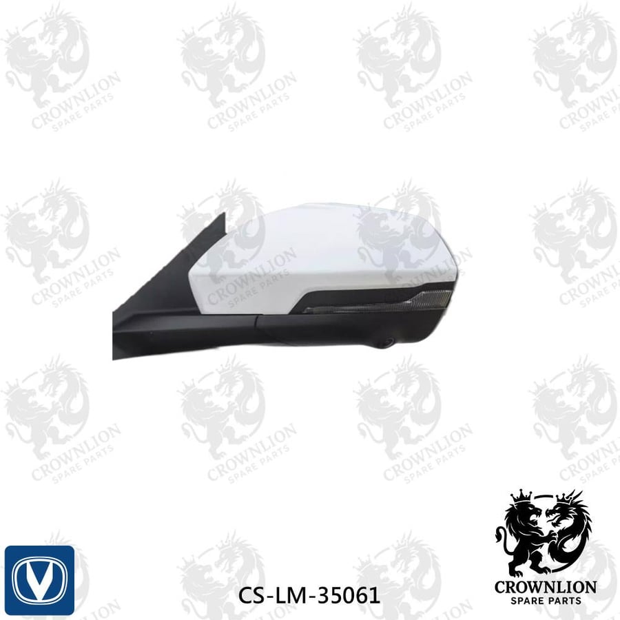 Right side mirror with camera