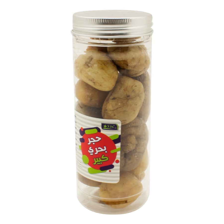 حجر بحري كبير للزينة – SBC