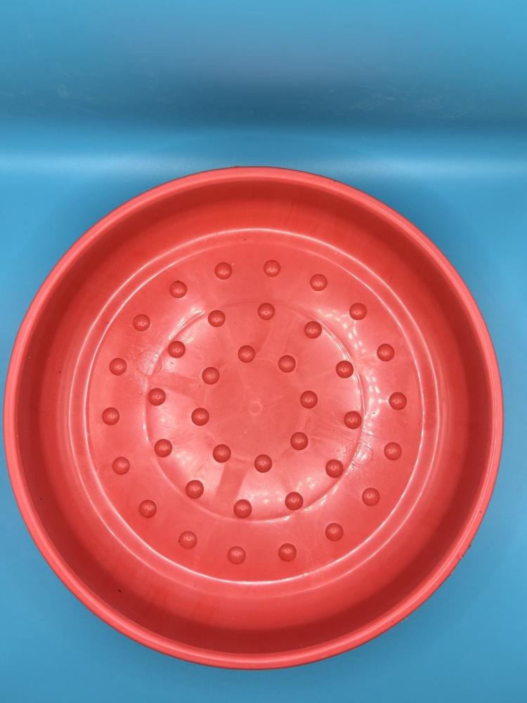 A food dish for birds, pigeons, and chickens