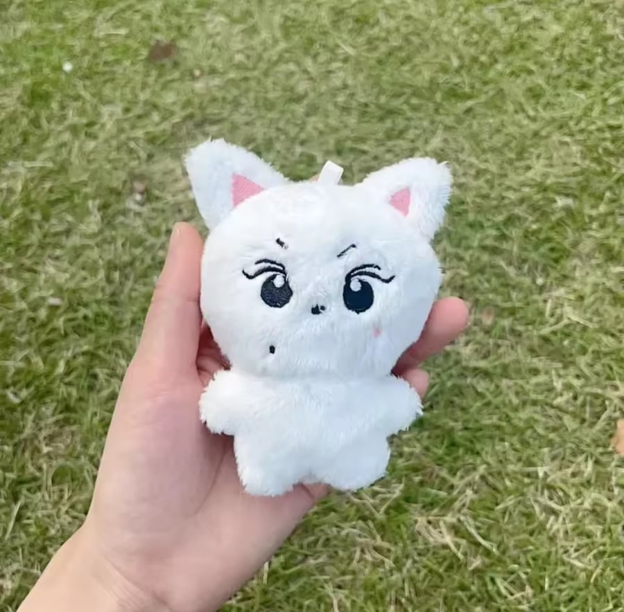 Jungwon doll