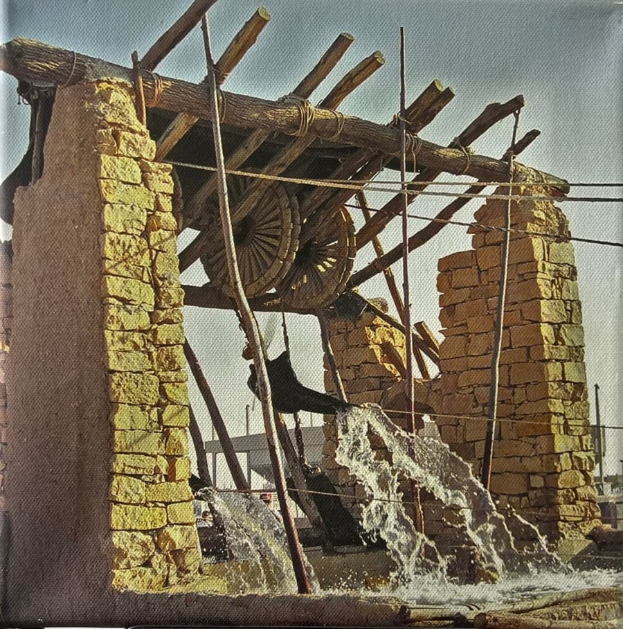صور من السعودية