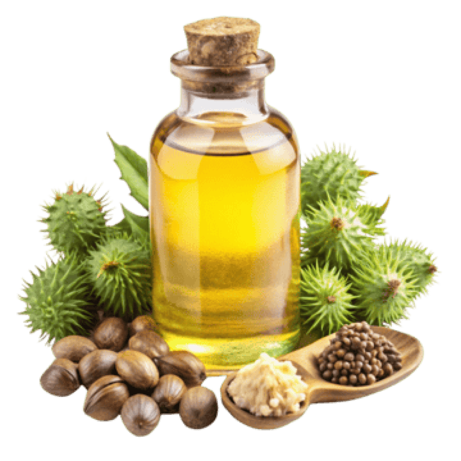 زيت الخروع