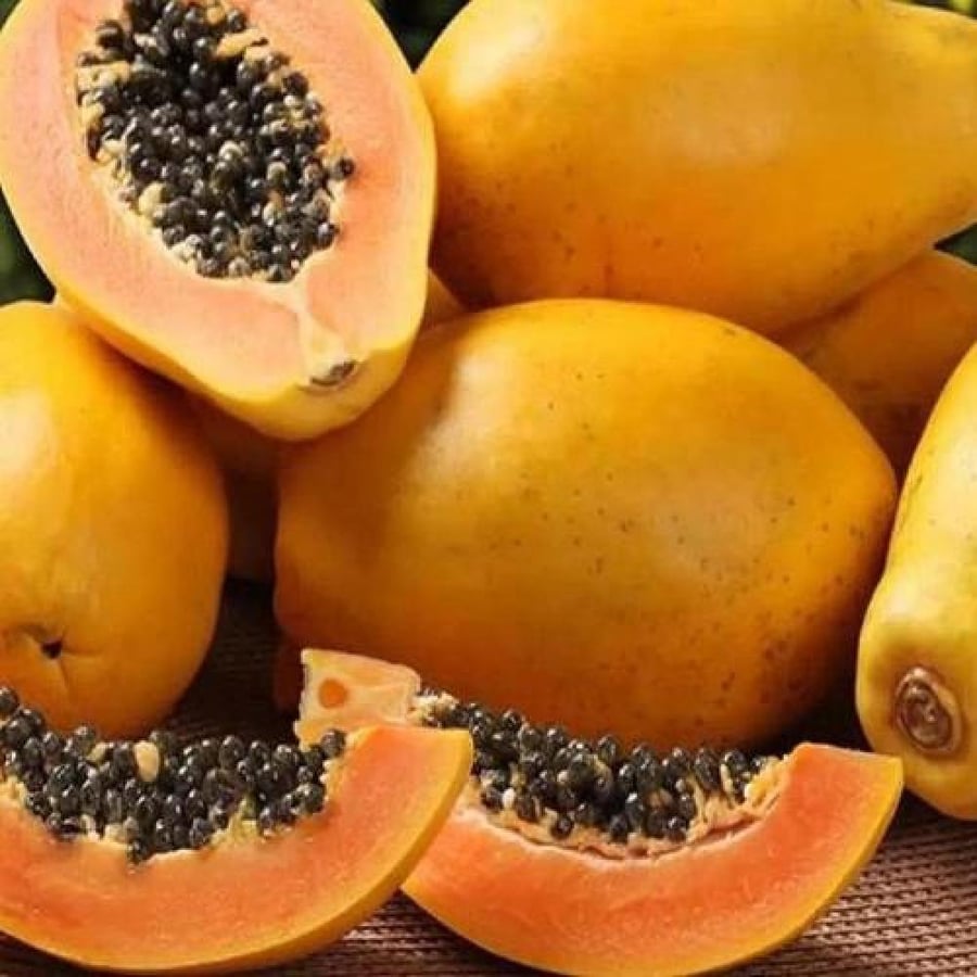 بذور البابايا للأكل