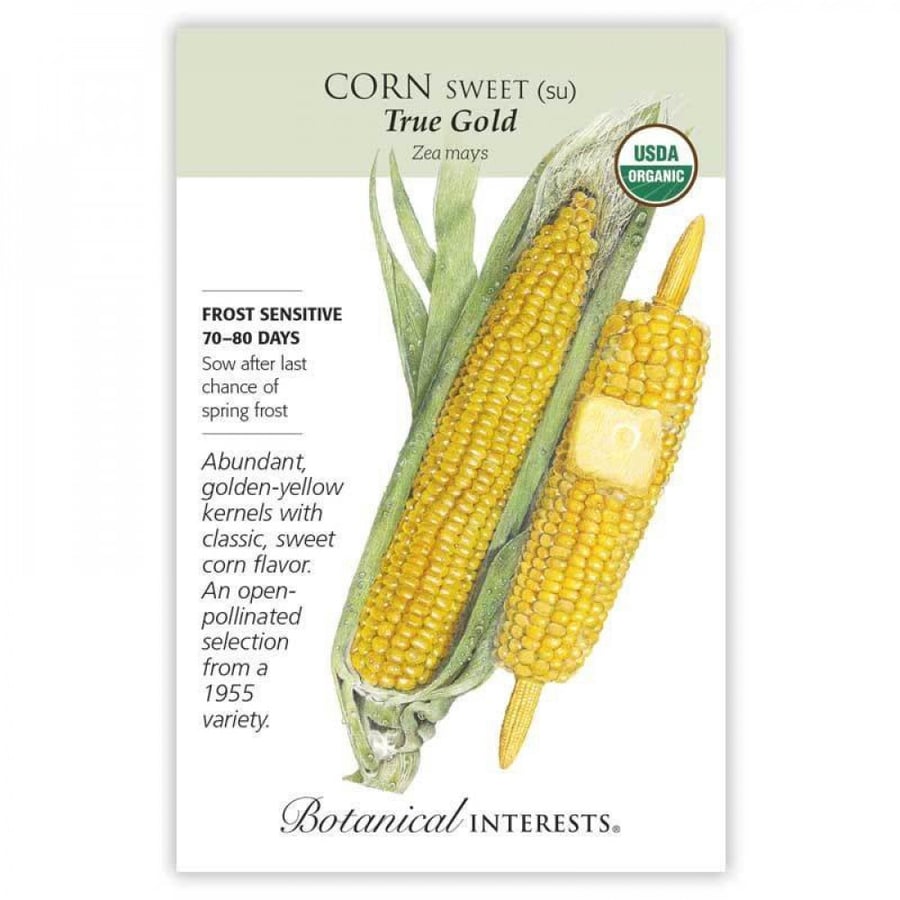 ذرة الذهب الحقيقي الحلوة - True Gold Sweet Corn