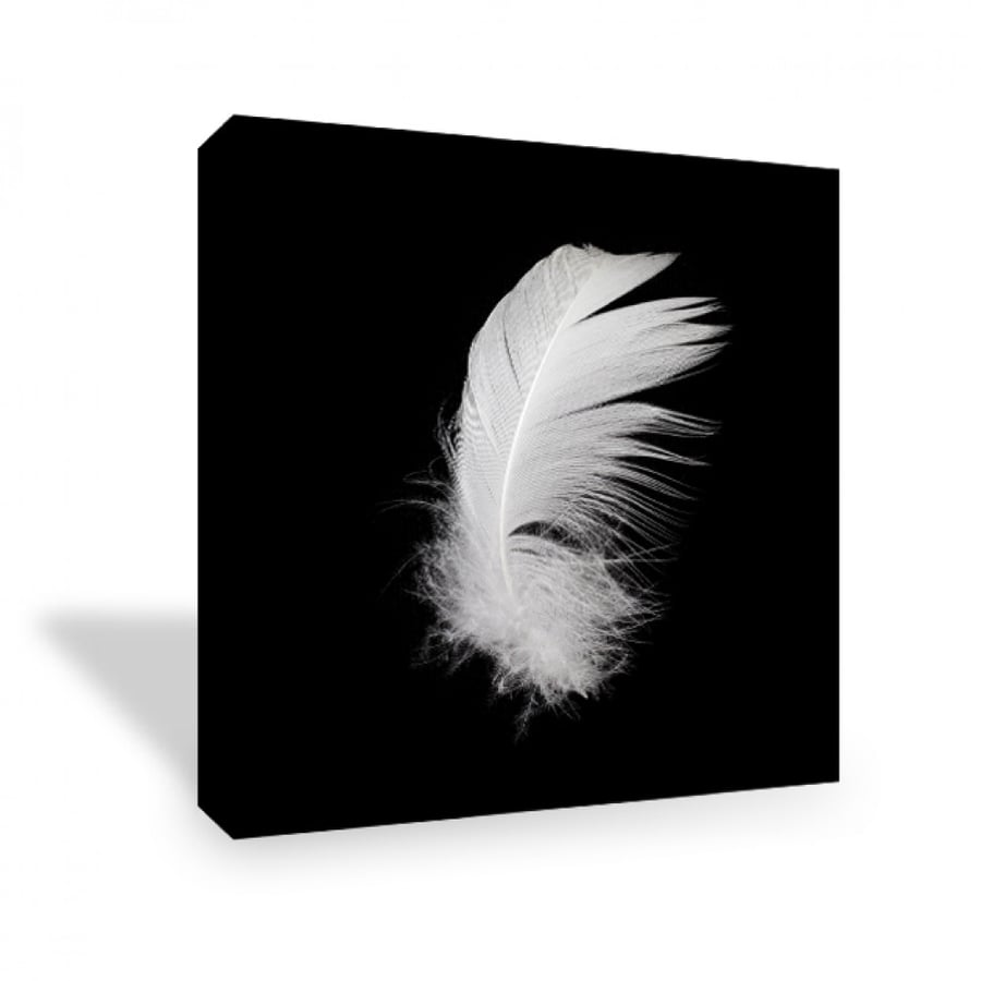 Wall art for home decoration printed on canvas fabric with hidden frame size 50 × 50 cm