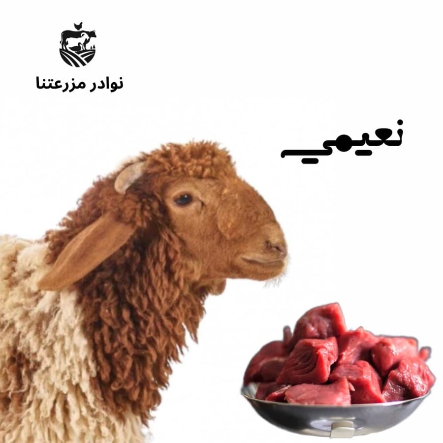 نعيمي وسط