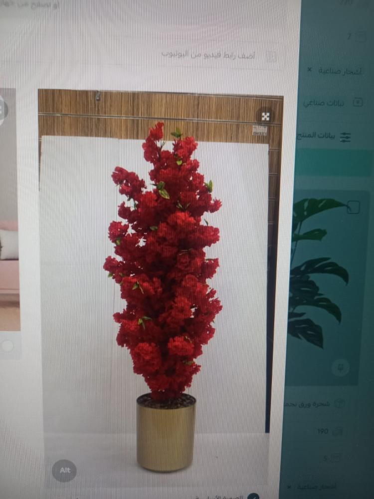 شجرة ورد ربيع مع مركن فيبر ارتفاع 150 سم
