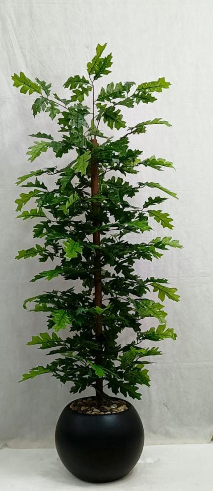شجرة ورق عنب مع مركن اصيص ارتفاع 160 سم العرض 45 سم