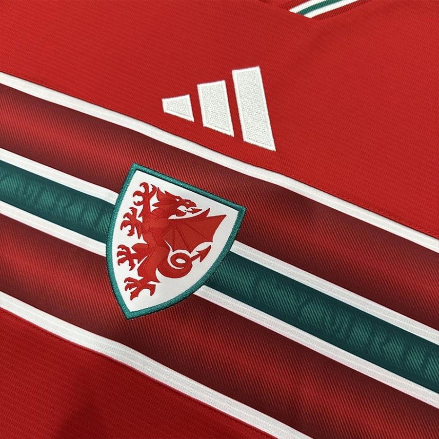 تيشيرت منتخب ويلز الاساسي 2026