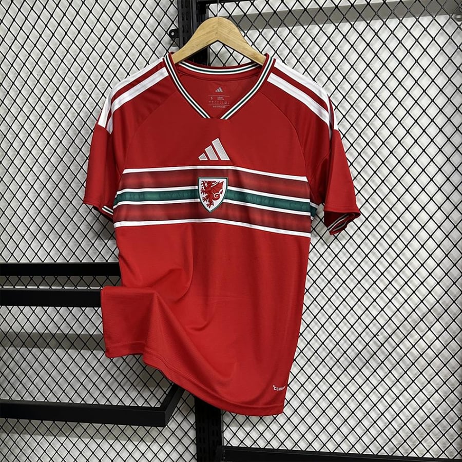 تيشيرت منتخب ويلز الاساسي 2026