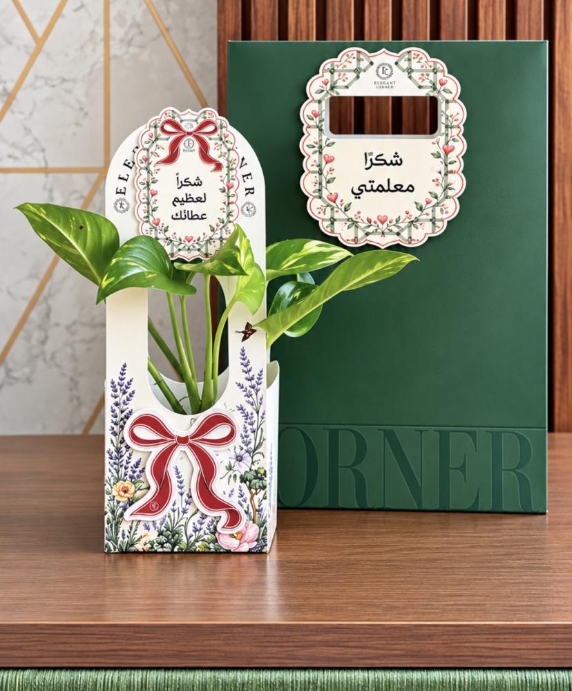 هدية نبتة البوتس المكتبية