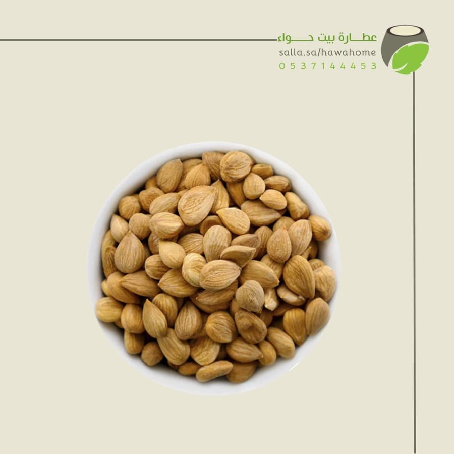 نواة المشمش