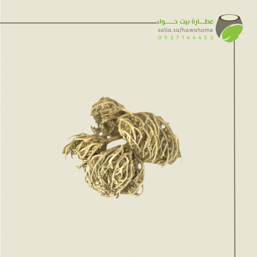 كف مريم