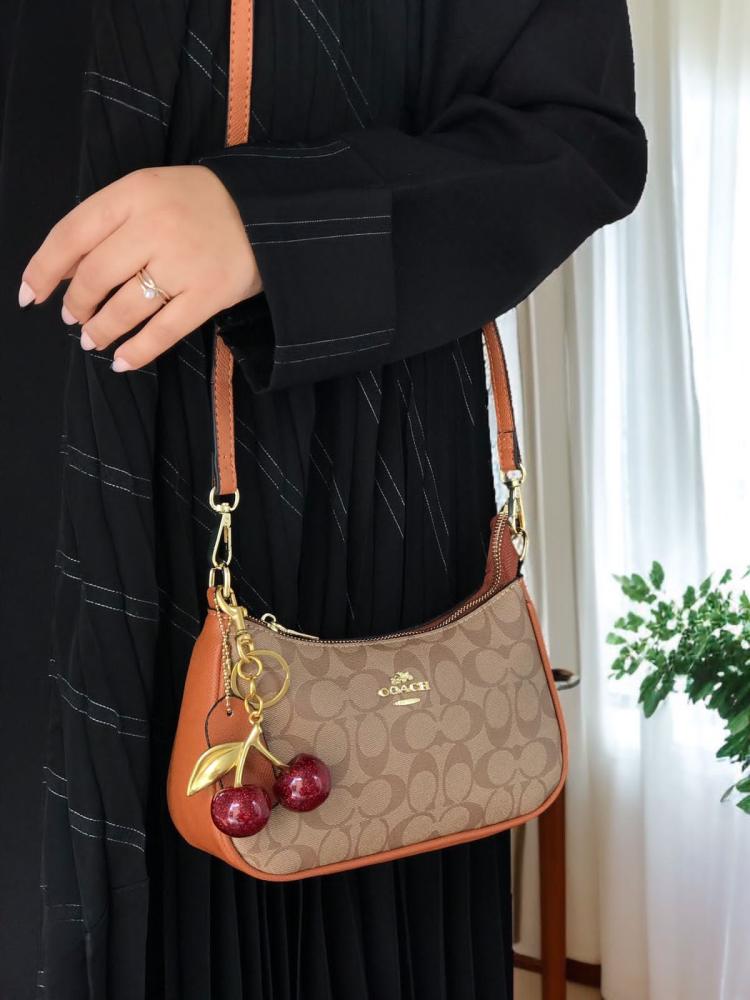 Coach bag with cherries including accessories