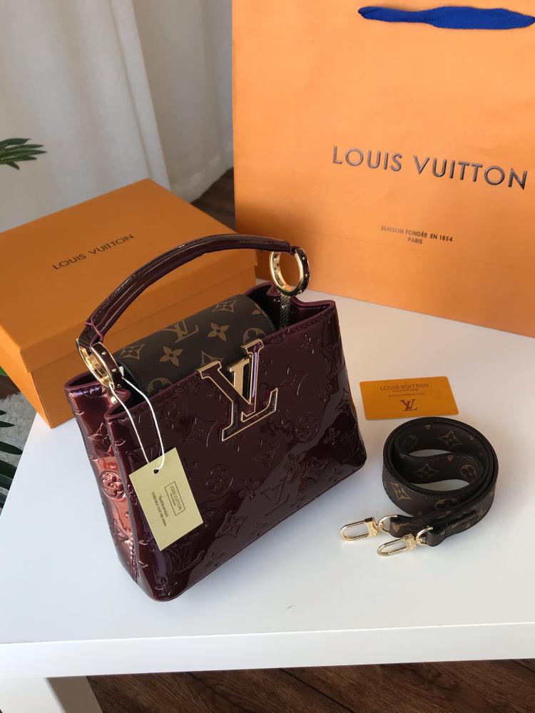 Louis Vuitton bag master with its accessories