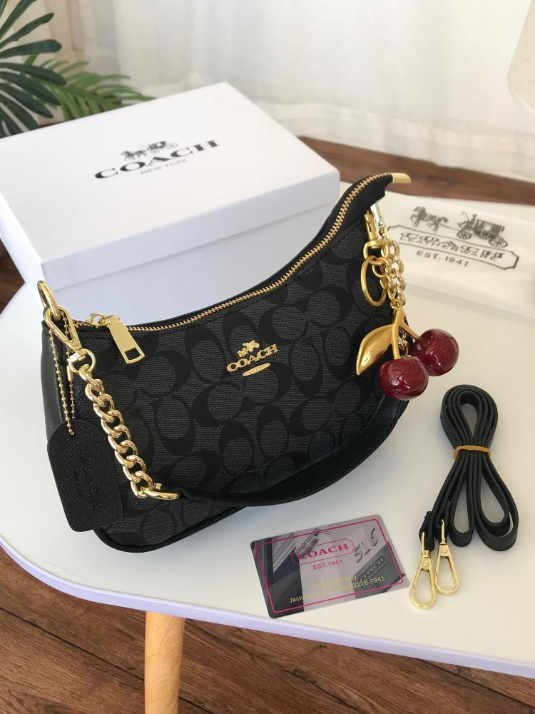 Coach bag with cherries including accessories