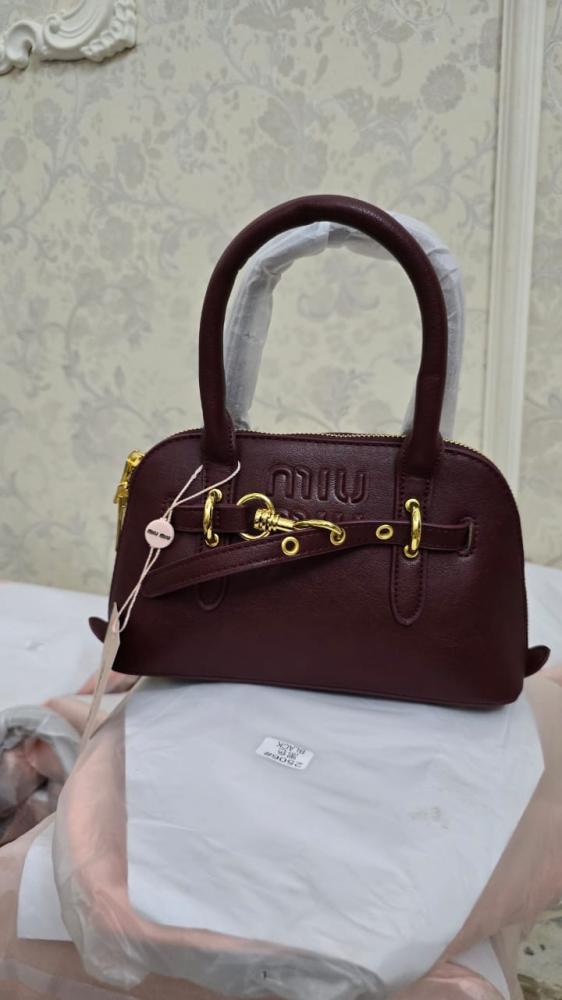 Miu Miu bag, the pyramid, with its accessories