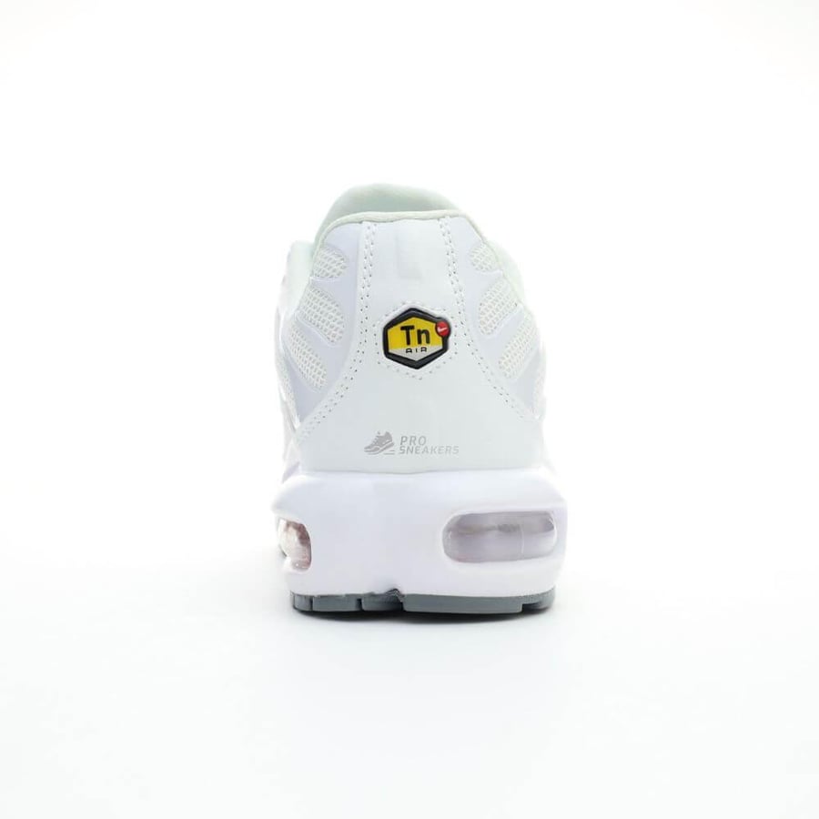 Nike Air Max Plus GS White Metallic Silver