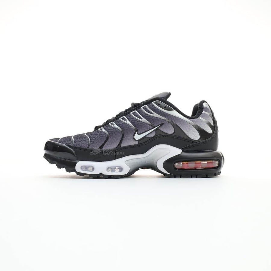 Nike Air Max Plus Black White Gradient