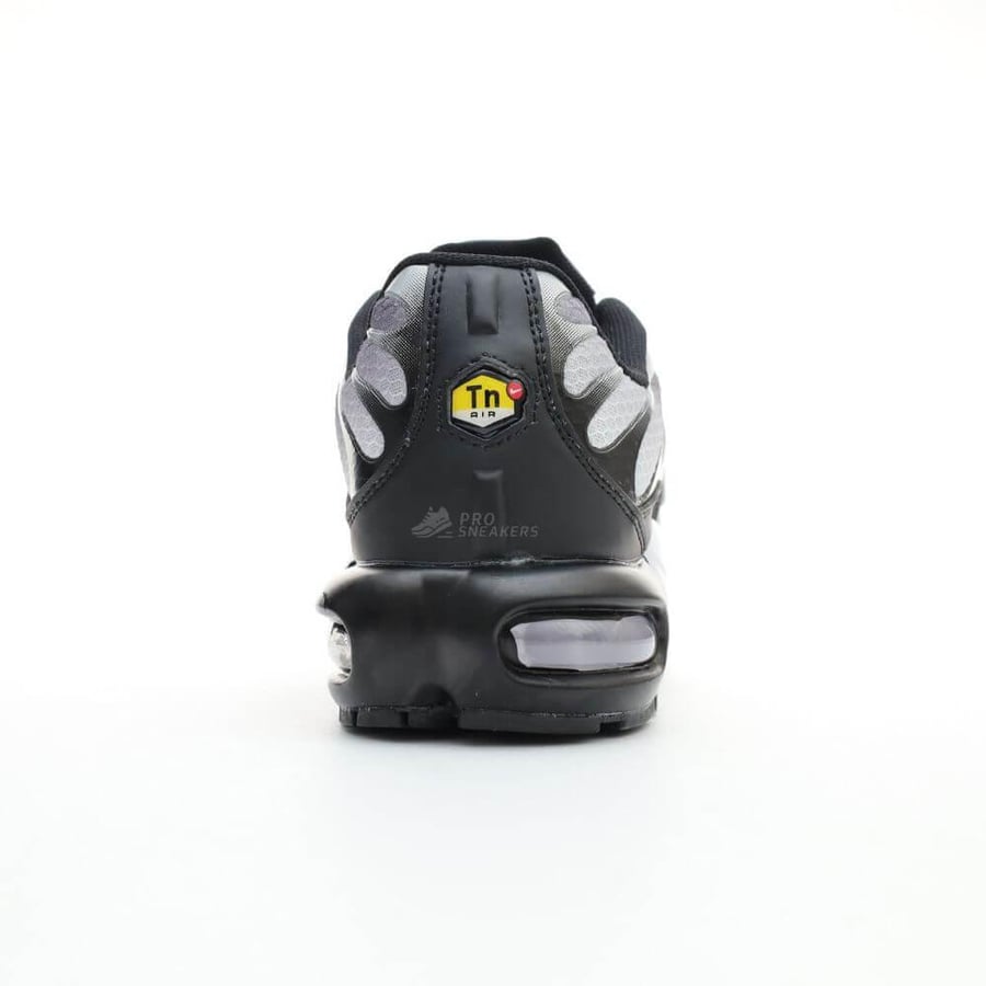 Nike Air Max Plus Black White Gradient