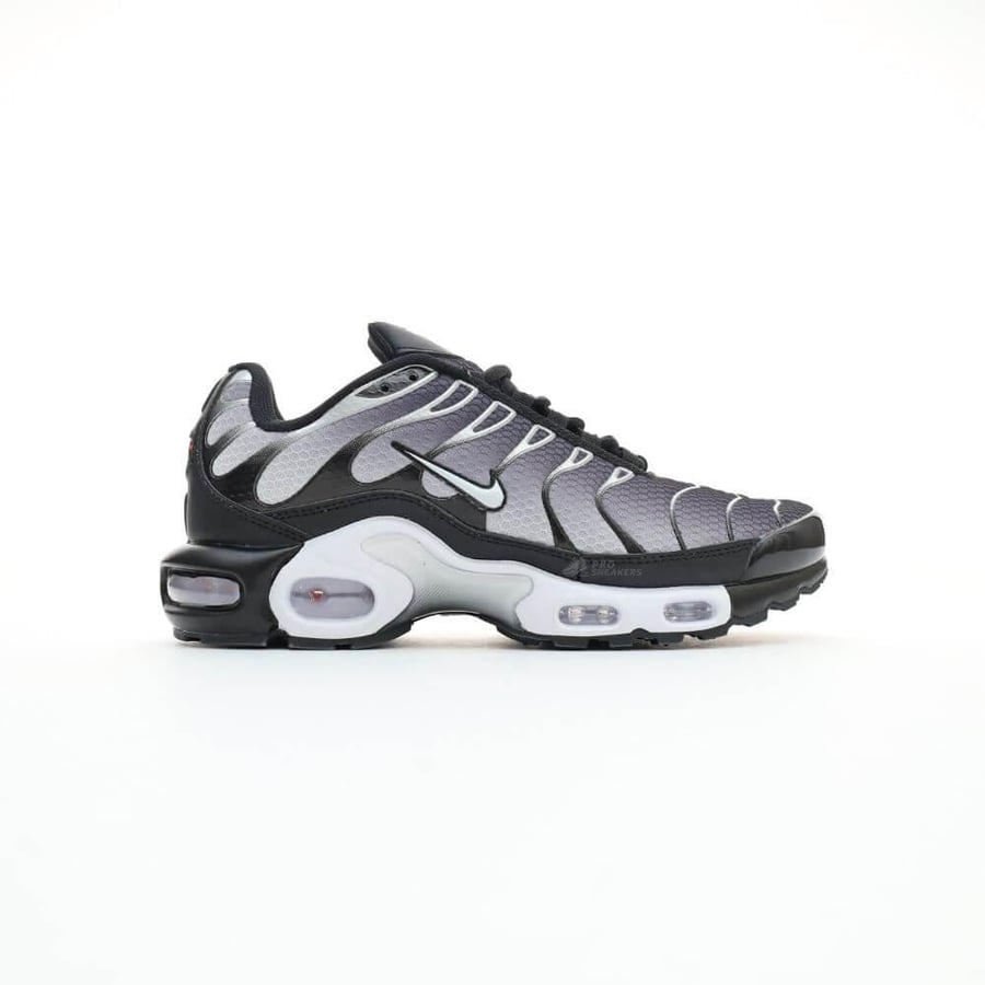 Nike Air Max Plus Black White Gradient