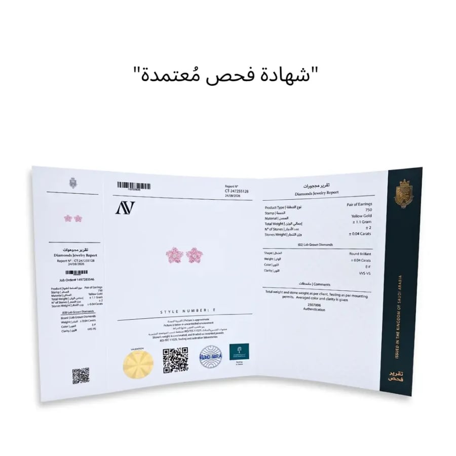 حلق رقم 3